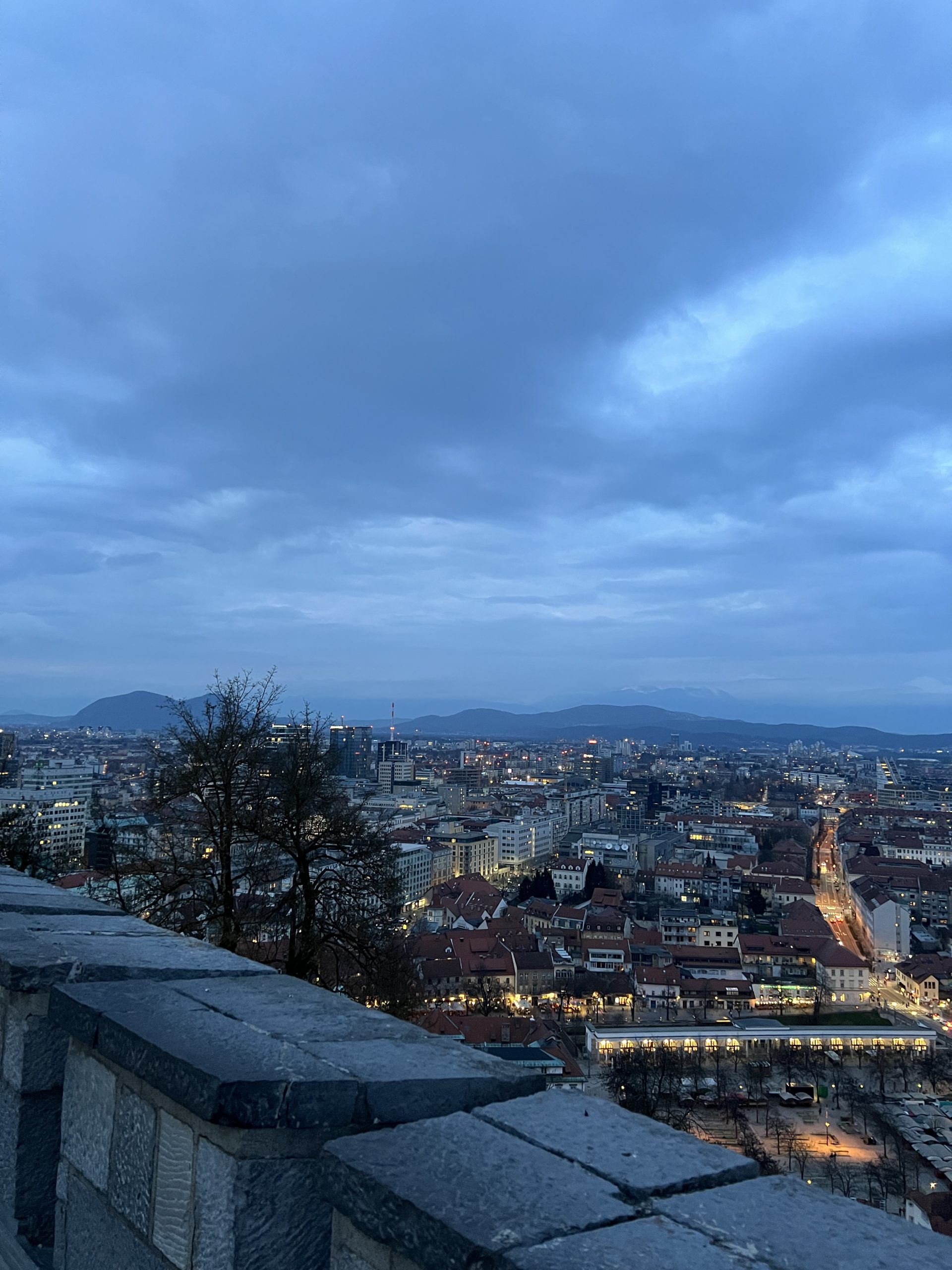 Erasmus+ mobility student Charbel Wehbe studying at SASS in Slovenia