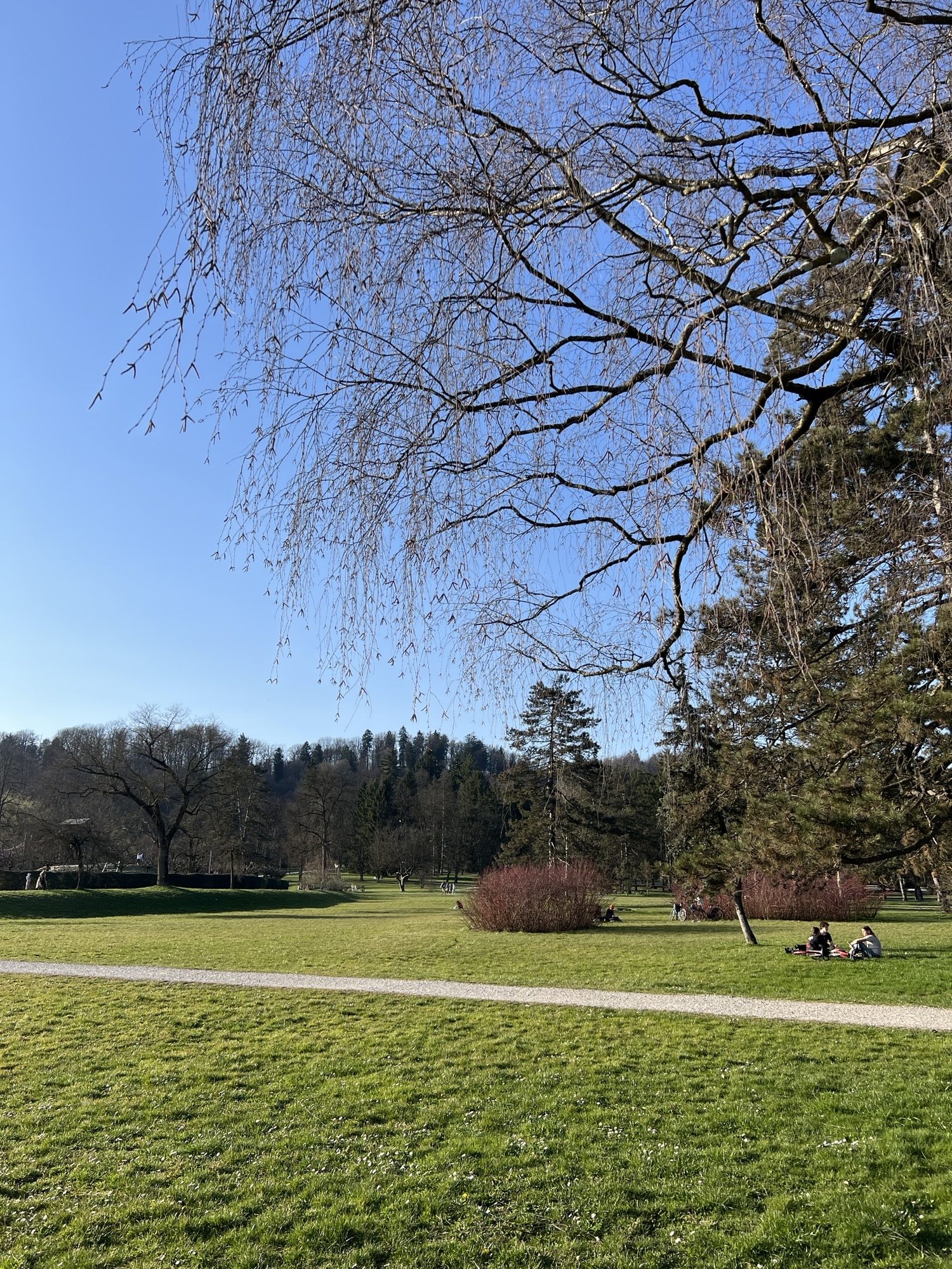 Erasmus+ mobility student Charbel Wehbe studying at SASS in Slovenia