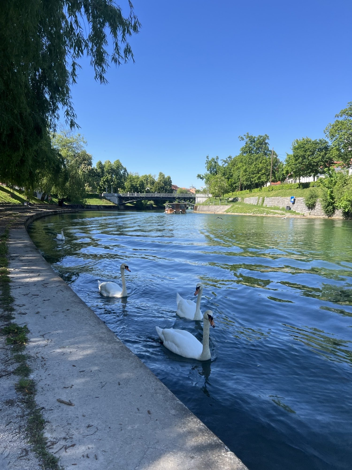 Erasmus+ mobility student Charbel Wehbe studying at SASS in Slovenia
