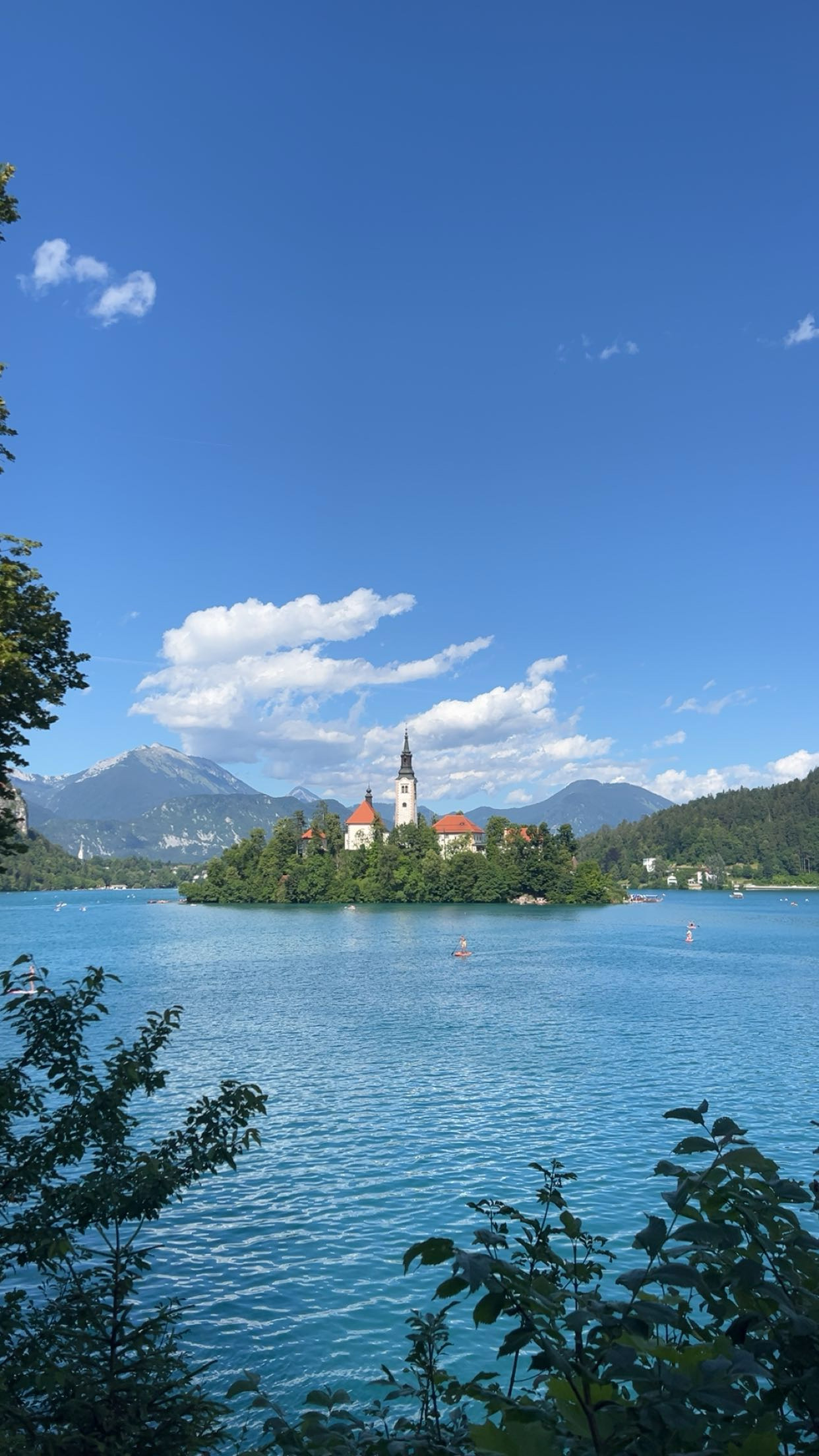 Erasmus+ mobility student Charbel Wehbe studying at SASS in Slovenia